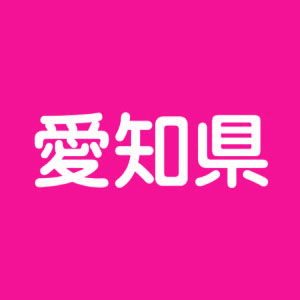 愛知県のネイルスクール ネイリスト体験記 スクールに通い サロンで働き 自宅で開業